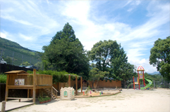 ����Τ�����